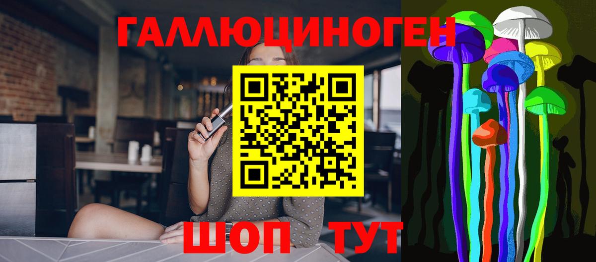 Элиста  Галлюциногенные грибы Psilocybine cubensis  Вход с VPN 