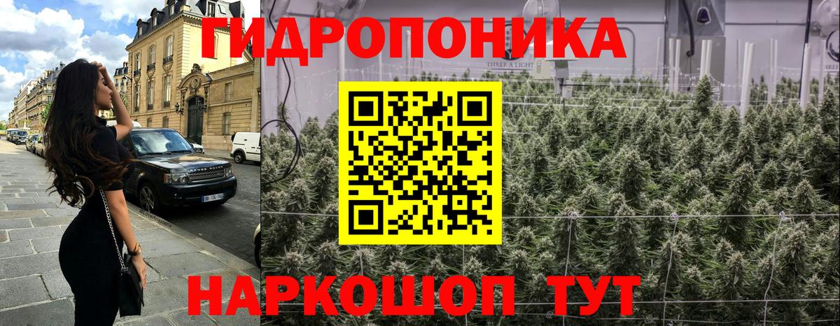 Шишки марихуана гибрид Элиста